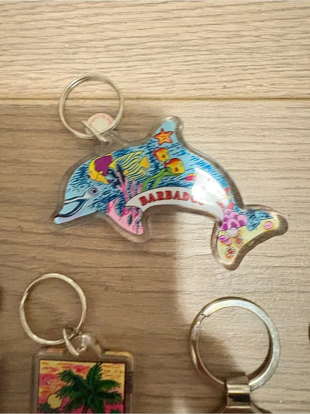 Souvenir Keychain Set - Barbados & Antigua - Multicolor